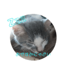 ちくわとしじみ（個別スタンプ：5）