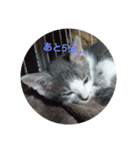 ちくわとしじみ（個別スタンプ：7）