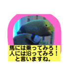 天使のうさぎのご挨拶7（個別スタンプ：1）