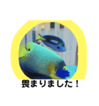 天使のうさぎのご挨拶7（個別スタンプ：3）