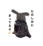 むちこちゃん（個別スタンプ：21）