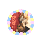 豆柴日記 医療（個別スタンプ：14）