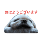 ユンバンチェンもんた（個別スタンプ：1）