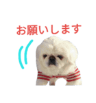 ユンバンチェンもんた（個別スタンプ：7）