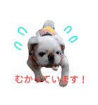 ユンバンチェンもんた（個別スタンプ：11）