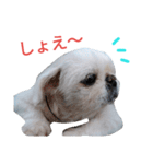 ユンバンチェンもんた（個別スタンプ：18）