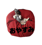 うちの子最高！（個別スタンプ：2）