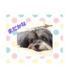 うちの子最高！（個別スタンプ：6）
