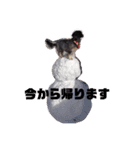 うちの子最高！（個別スタンプ：14）