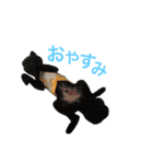 れおたんと愉快な仲間達（個別スタンプ：2）