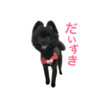 れおたんと愉快な仲間達（個別スタンプ：4）