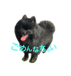 れおたんと愉快な仲間達（個別スタンプ：7）