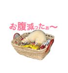 れおたんと愉快な仲間達（個別スタンプ：18）