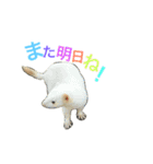 れおたんと愉快な仲間達（個別スタンプ：19）