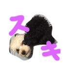 ワン達（個別スタンプ：7）