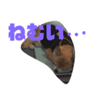 ワン達（個別スタンプ：16）