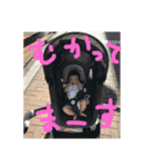 挨拶と赤ちゃんと（個別スタンプ：4）