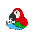 日常的使えそうな動物すたんぷ。（個別スタンプ：11）