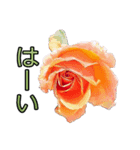 美しい薔薇 1（個別スタンプ：3）