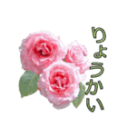 美しい薔薇 1（個別スタンプ：5）