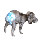 御馳と山葵2（個別スタンプ：11）