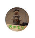 御馳と山葵2（個別スタンプ：13）