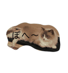 ぽへ森のかわいい動物たち（個別スタンプ：3）
