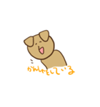 ゆるめのいぬちゃん（個別スタンプ：22）