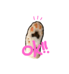 やる気のないらいくん（個別スタンプ：2）