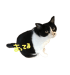 やる気のないらいくん（個別スタンプ：17）