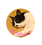 やる気のないらいくん（個別スタンプ：20）