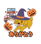 ハロウィンに使える〜トイプードル（個別スタンプ：1）