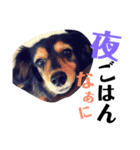 愛犬みみなな（個別スタンプ：2）