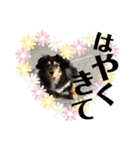愛犬みみなな（個別スタンプ：3）