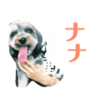 愛犬みみなな（個別スタンプ：7）