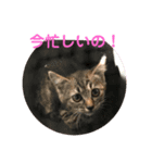 よく使う？言葉（個別スタンプ：7）