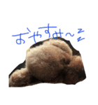 ちびっこ。。（個別スタンプ：1）