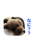 ちびっこ。。（個別スタンプ：9）