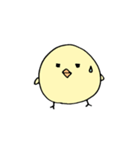 ひよごろう（個別スタンプ：11）