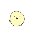 ひよごろう（個別スタンプ：12）