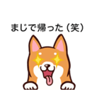 ゆるさイヌ（個別スタンプ：9）
