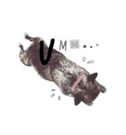 KOU'S *BUHI LIFE（個別スタンプ：9）