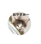 むった その1（個別スタンプ：7）