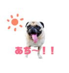ボースと仲間たち（個別スタンプ：3）