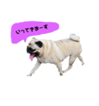 ボースと仲間たち（個別スタンプ：6）
