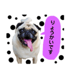 ボースと仲間たち（個別スタンプ：16）