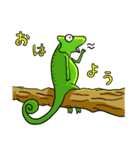 カメレオンをらくがきで（個別スタンプ：17）