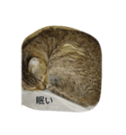 マイムとスモモ（個別スタンプ：2）