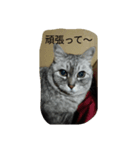 マイムとスモモ（個別スタンプ：7）