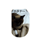 マイムとスモモ（個別スタンプ：8）